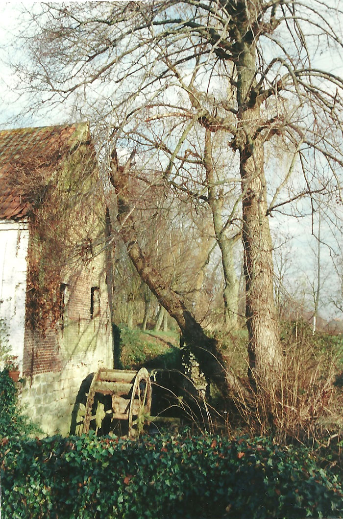 Decline of the water mill in the last years before the restoration