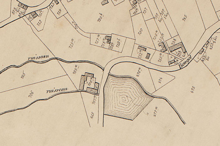 Mention of the Driesmolen on the Plan Parcellaire par Philippe-Christian Popp (Kadastraal Plan) (around 1850)