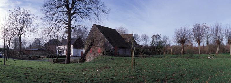 Raised banks of the brook