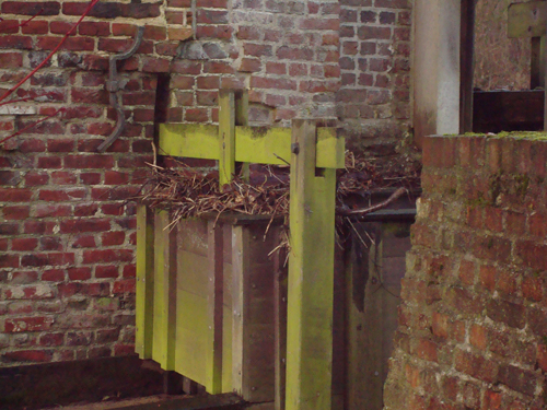 Control gate