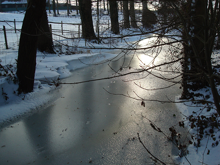 Mill pond, view from the north, close to the connection with the brook