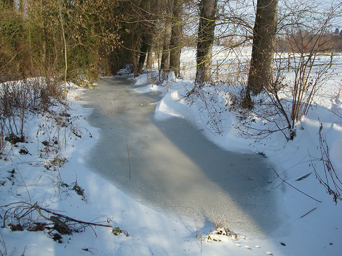 Mill pond, view from the south