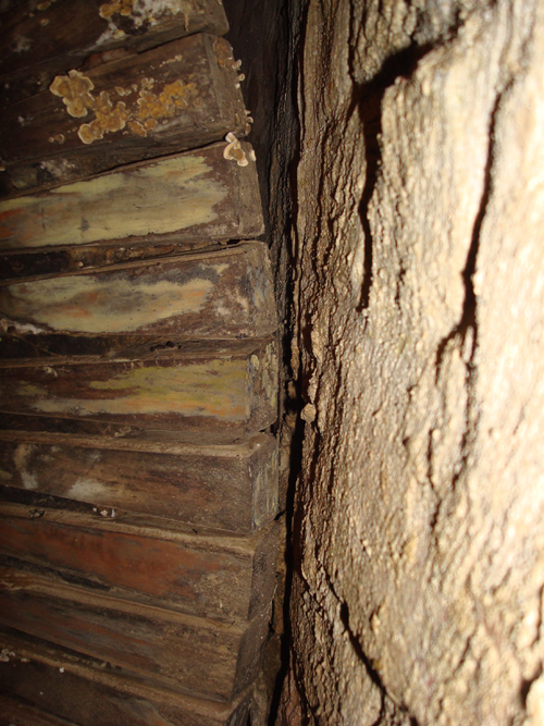 Wooden cogs of the pit wheel